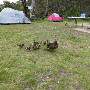 December 2016 campground scene