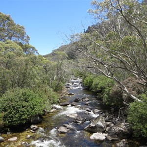 Nearby Thredbo River