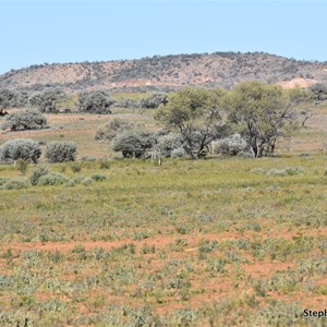 Mount Mcgowan