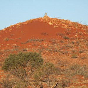 Geosurvey Hill