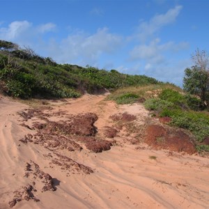 Wind pruned heath