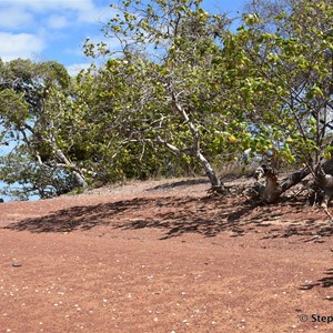 Red Beach 