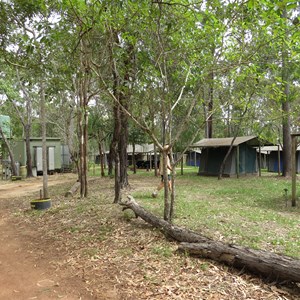 Safari tents