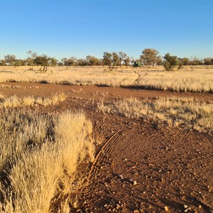 Fossicking Area Camp Site