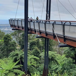 Sealy Lookout