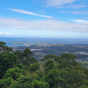 Sealy Lookout