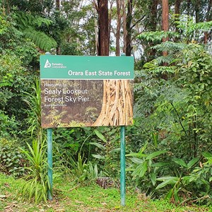 Sealy Lookout