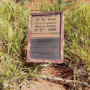 Dr Ed Vines