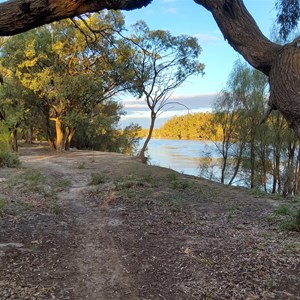 Lyrup Flats Campground Site 11