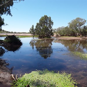 Pelican Pool