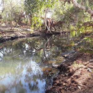 Water Hole