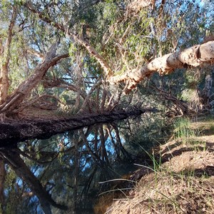 Water Hole