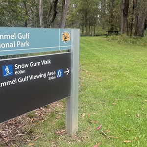 New Country Swamp Campground