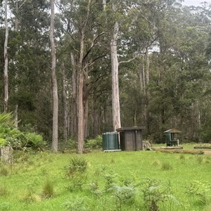 New Country Swamp Campground