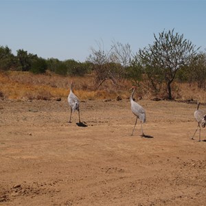 Out for a stroll