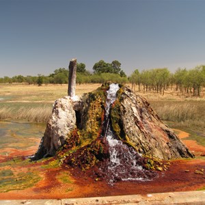 Colourful algae at the bore