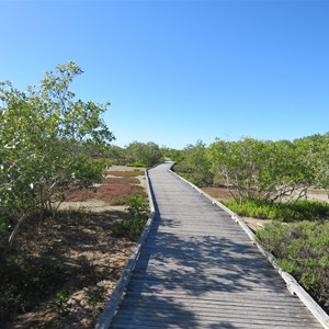 Muddy under the boardwalk