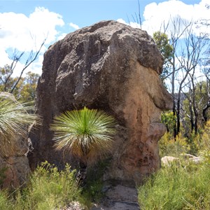 Mystery Face Picnic Area, Torrington