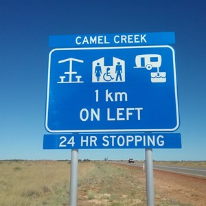 2 Camels