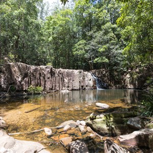 Waitui Falls,  Comboyne State Forest