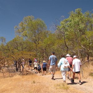 Track to gravesite