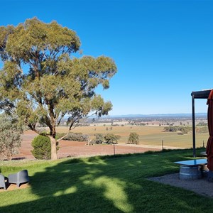 Tallis Wines