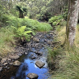 Delaneys Falls