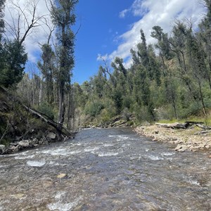 Blue Rag Camping