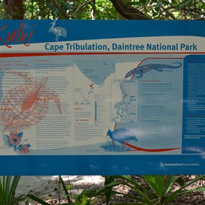 Cape Tribulation