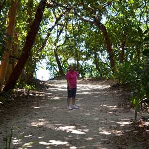 Cape Tribulation