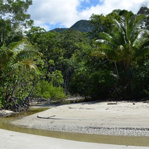 Cape Tribulation