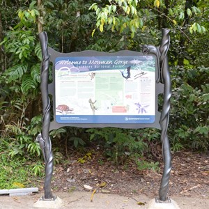 Mossman Gorge