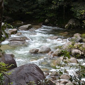 Mossman Gorge