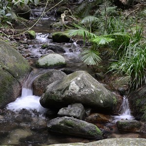 Mossman Gorge