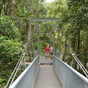 Mossman Gorge