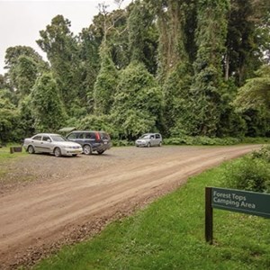 Forest Tops Campground