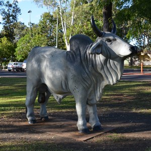 Mareeba