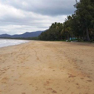 Palm Cove Beach looking south