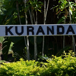 Kuranda