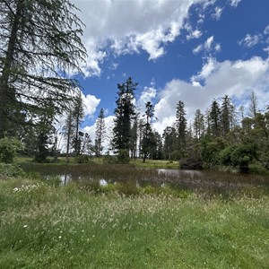 Ponderosa Park