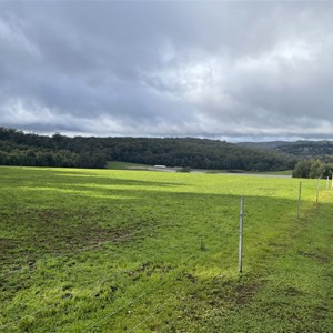 Fernbrook Farmstay