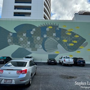Cairns CBD