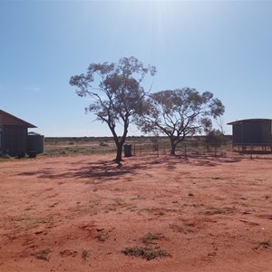 Kingoonya Campground