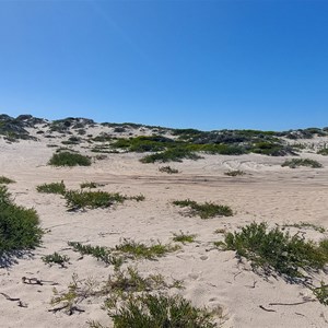 Dampier Landing Campsite