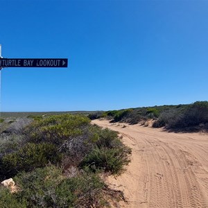 Turtle Bay Lookout