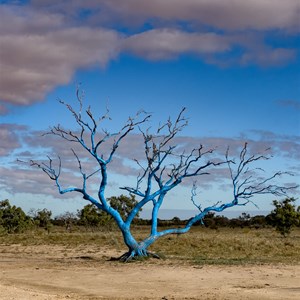 Ruok Tree