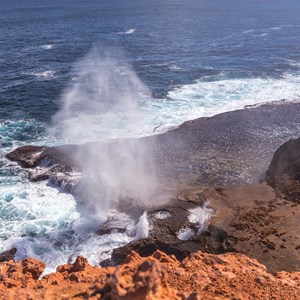 Blowholes