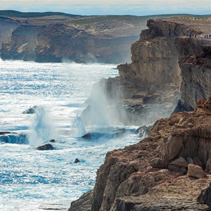 Blowholes