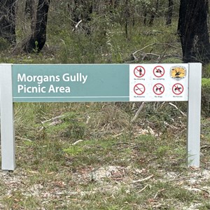 Morgans Gully