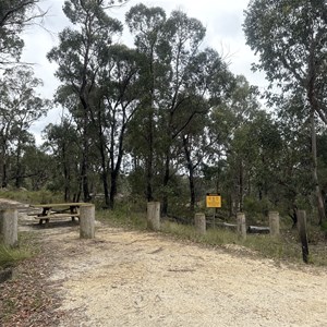Morgans Gully